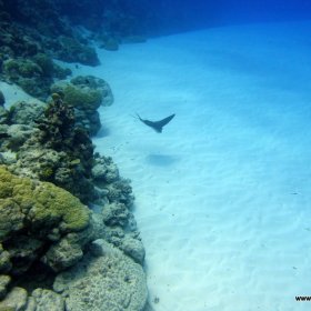 Malediwy deep south 2022_1