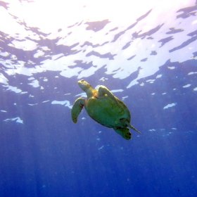 Malediwy deep south 2022_2