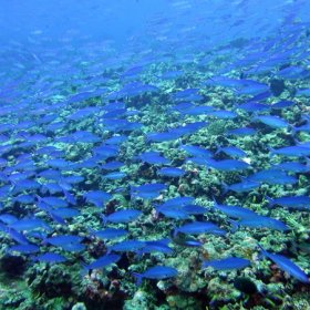 Malediwy deep south 2022_2