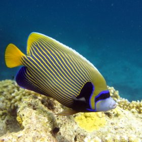 Malediwy deep south 2022_2