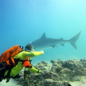 Malediwy deep south 2022