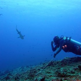 Malediwy deep south 2022_4