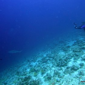 Malediwy deep south 2022_5