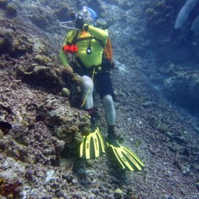 Malediwy deep south 2022_6