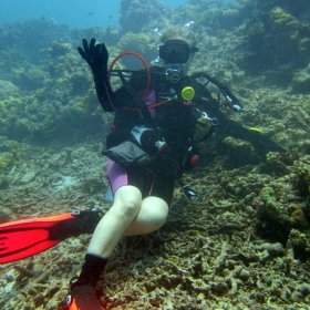 Malediwy deep south 2022_7