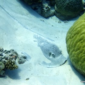 Malediwy deep south 2022_8