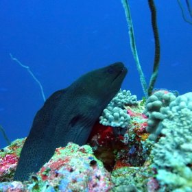 Malediwy deep south 2022_9